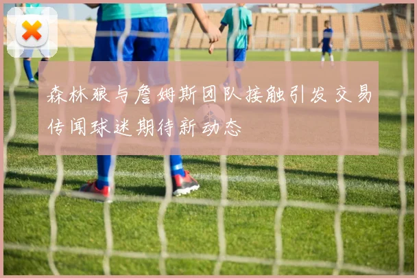 森林狼与詹姆斯团队接触引发交易传闻球迷期待新动态