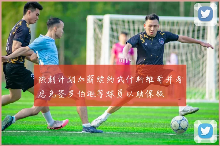 热刺计划加薪续约武什科维奇并考虑免签罗伯逊等球员以助保级