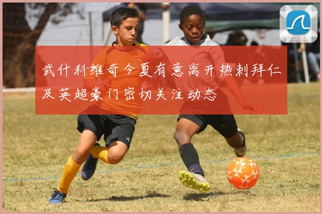 武什科维奇今夏有意离开热刺拜仁及英超豪门密切关注动态